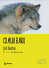 COLMILLO BLANCO