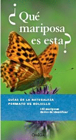 ¿QUE MARIPOSA ES ESTA?