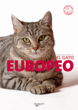 EL GATO EUROPEO