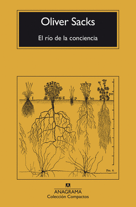 EL RÍO DE LA CONCIENCIA