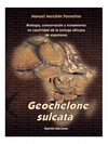 GEOCHELONES SULCATA