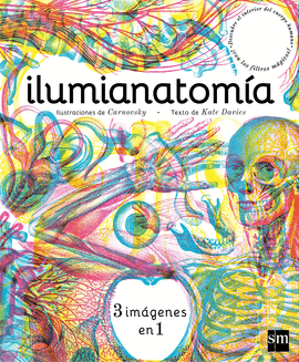 ILUMIANATOMIA