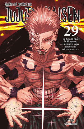 JUJUTSU KAISEN: GUERRA DE HECHICEROS 29