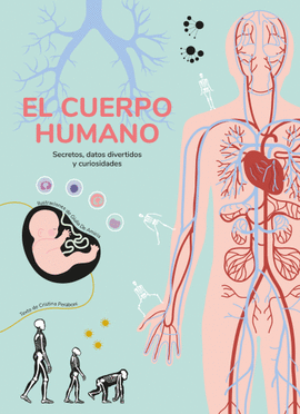 EL CUERPO HUMANO