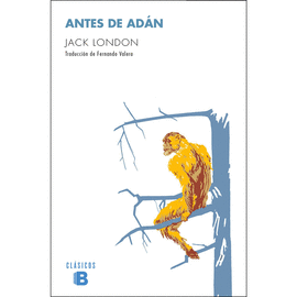 ANTES DE ADAN